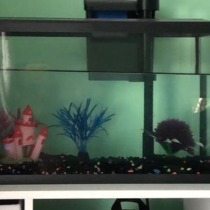 Fish Tank with accessories.